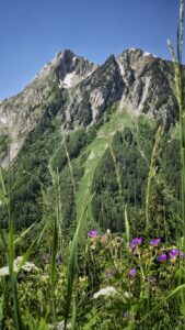 naturliebe 17