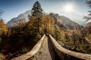 naturliebe 5