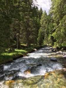 Fluss Davos Sertig