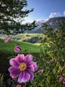 Sommertag in Filisur