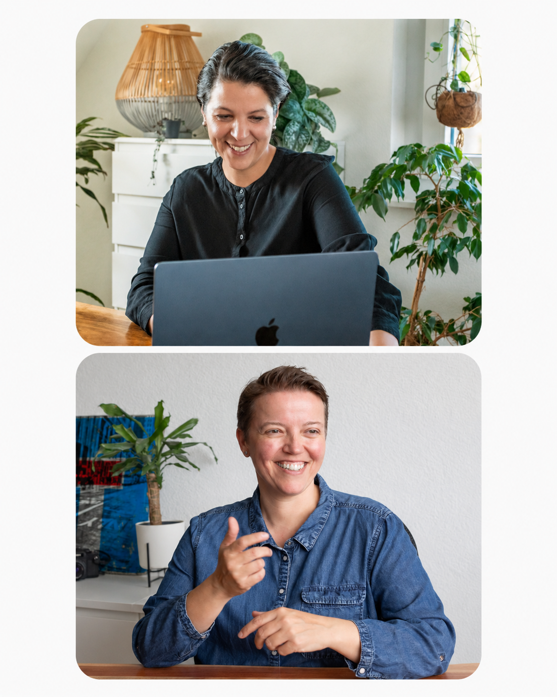 digitalfox team